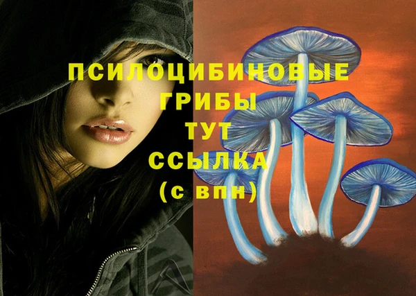 круглые Богородицк