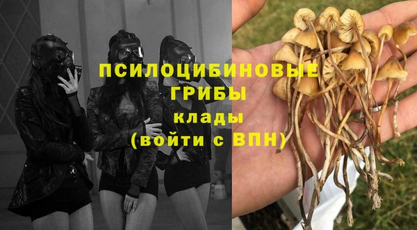2c-b Богданович