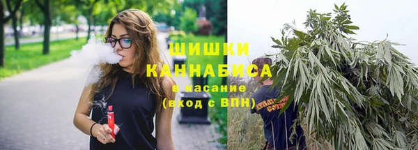хмурый Богородск
